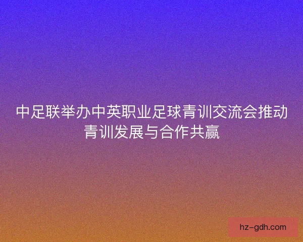 中足联举办中英职业足球青训交流会推动青训发展与合作共赢