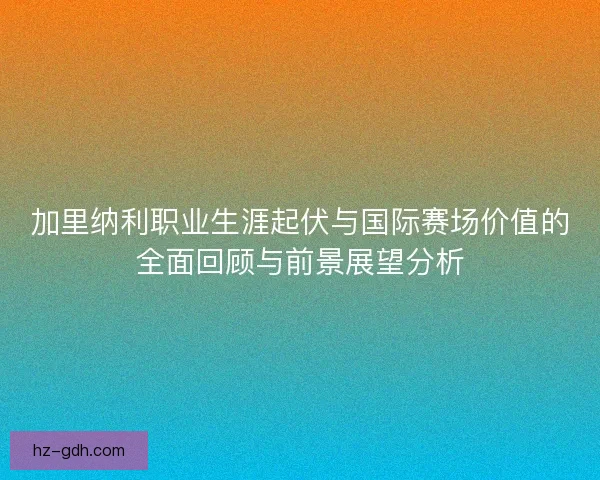 加里纳利职业生涯起伏与国际赛场价值的全面回顾与前景展望分析